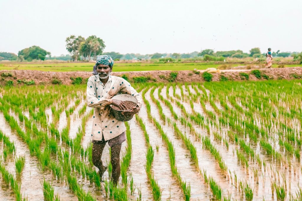 चंबल फर्टिलाइजर्स के शेयरों में उछाल, पर यूरिया पर सरकारी नीतियां बदल सकती हैं तस्वीर